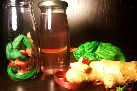Detox - Ingwer Rhabarberlimonade mit Basilikum