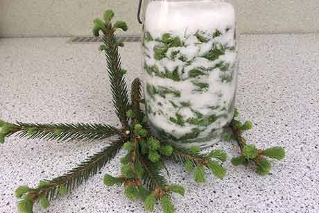 Fichten-Wipferl-Sirup