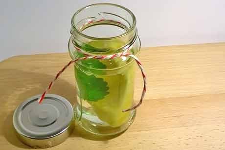Zitronenmelisse Ananaswasser