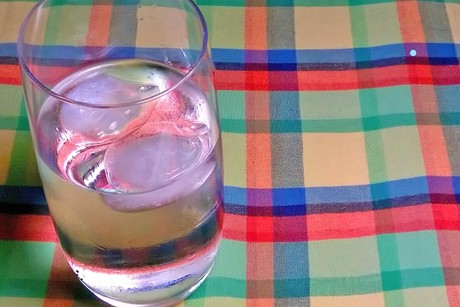 Heidelbeer Tonic