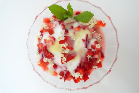 Erdbeeren mit Vanillejoghurt, Eierlikör und Holunder