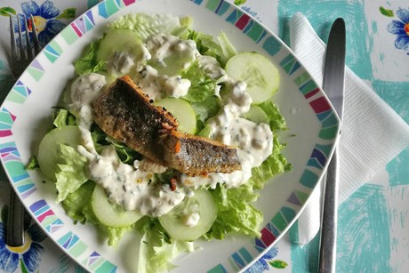 Salat mit gebratenem Bachforellenfilet
