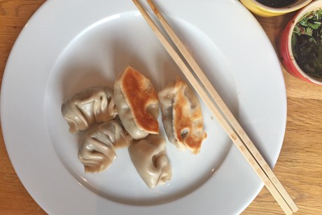 Vegetarische chinesische Teigtaschen (Potstickers) mit Broccoli und Pilzen
