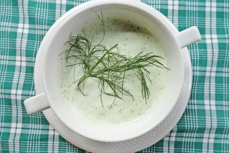 Kalte Gurkensuppe mit Dill