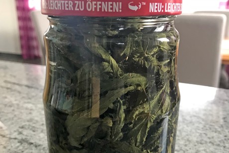 Brennnesselschnaps