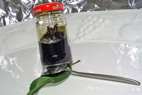 Vanille Extract