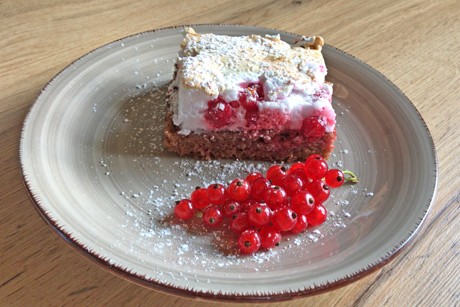 Schoko-Ribiselschnitte