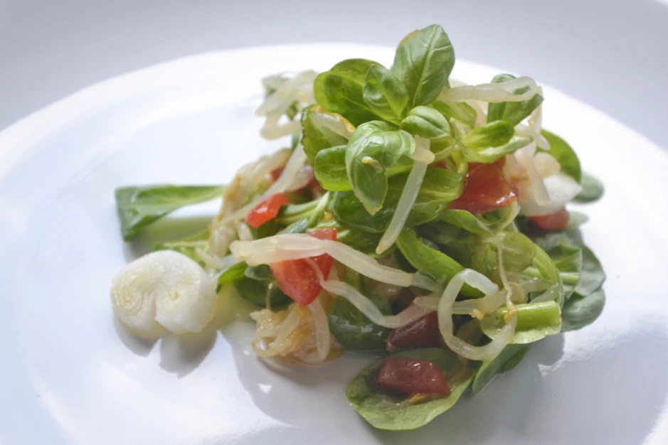 Vogerlsalat mit Sojasprossen