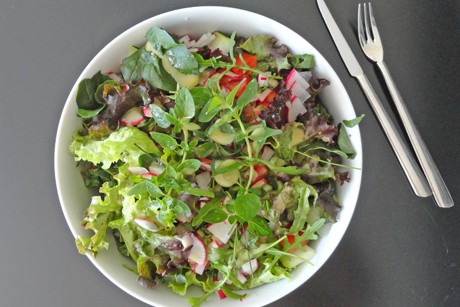 Knackiger Gartensalat mit Honigdressing