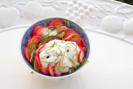 Radieschen-Zucchini-Salat