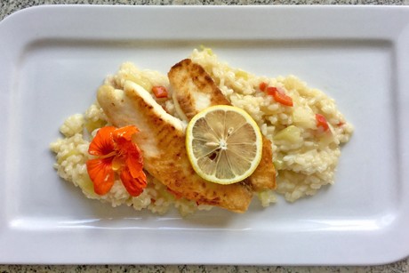 Zucchinirisotto mit Tilapia