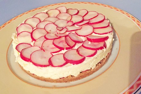 Pikanter Radieschen-Cheesecake mit Brunch Frischkäse ohne Backen