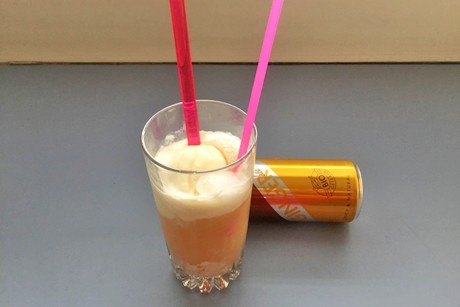 Ginger Ale Float