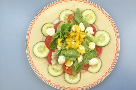 Fitnesssalat mit Tomaten, Gurken, Paprika und Mozzarella