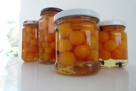 Eingelegte Kirschparadeiser