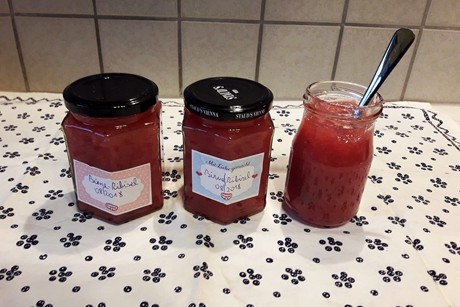 Birnen-Ribisel-Marmelade
