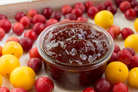 Ringlotten-Marmelade