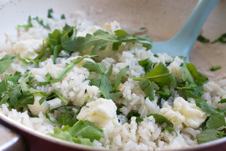Rucola-Reis
