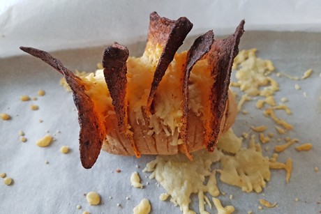 Fächerkartoffel