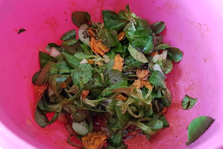 Vogerlsalat mit Tortilla Chips