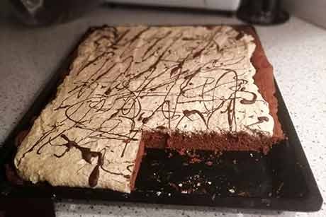 Schoko-Nuss-Kuchen