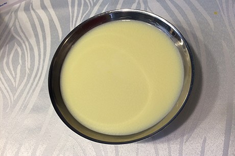 Vanillesauce-Kanarienmilch