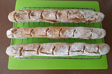 Roggen-Dinkel-Baguette mit Natron