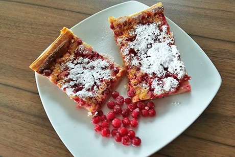 Johannisbeerwähe