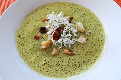 Bärlauch-Spinat-Suppe
