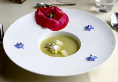 Brennesselsuppe