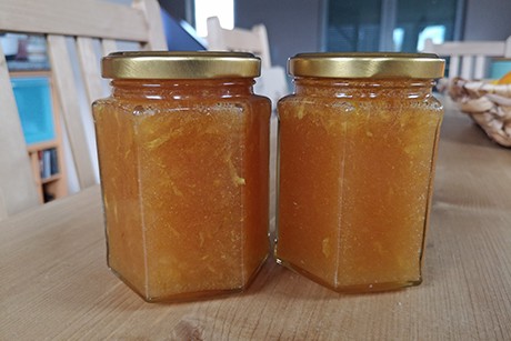 Schlüsselblumen Orangen Marmelade