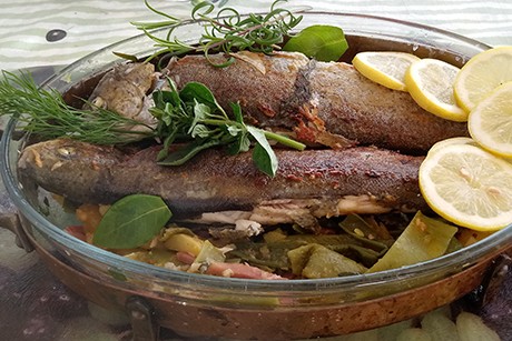 Forelle mit Kartoffeln und grünen Bohnen