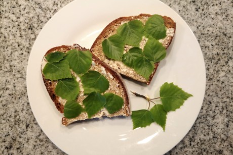 Birkenblätter Butterbrot