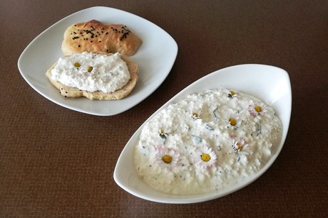 Frühlingsaufstrich mit Gänseblümchen