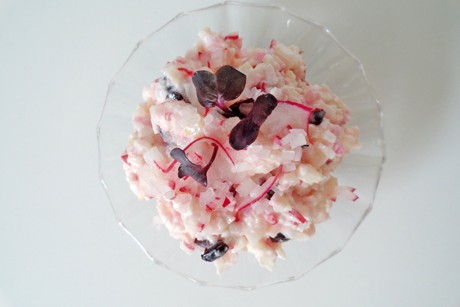 Radieschenaufstrich mit Sakurakresse