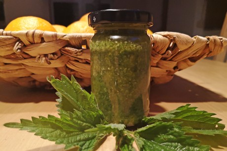 Brennnesselpesto