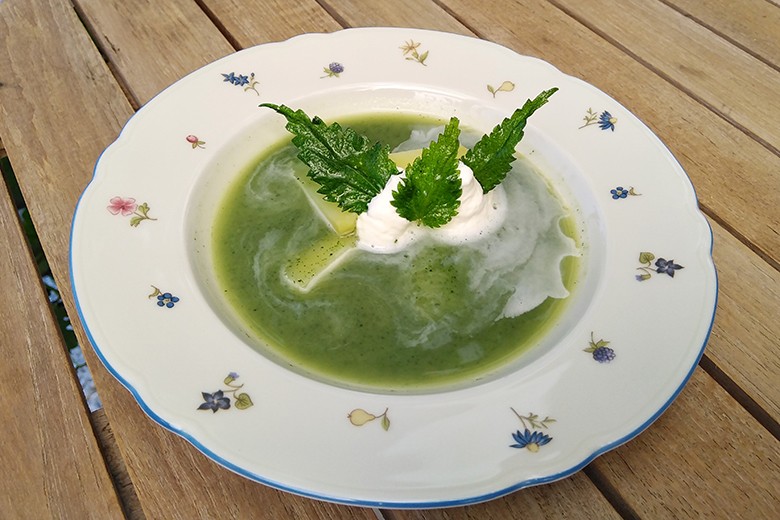 Brennnesselsuppe