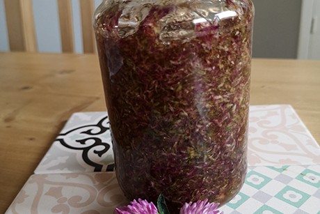 Rotklee Marmelade