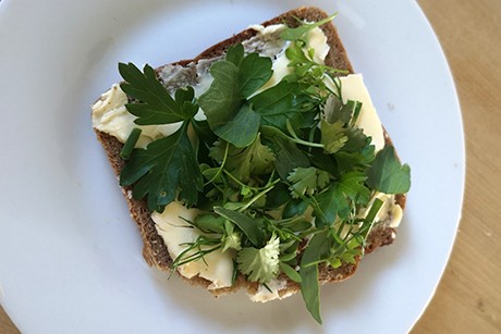 Kräuter Butterbrot