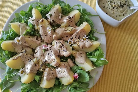 Gedämpfte Kartoffel auf Rucola