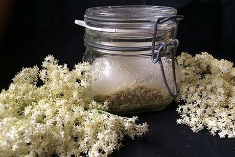 Holunderblütenzucker für Sirup