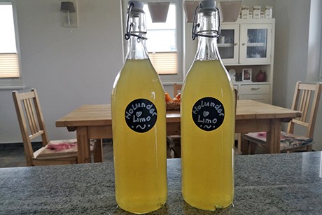 Holunderblüten Limonade