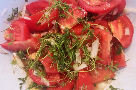 Tomatensalat mit Kresse