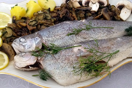 Forelle blau mit Zucchini-Champignongemüse