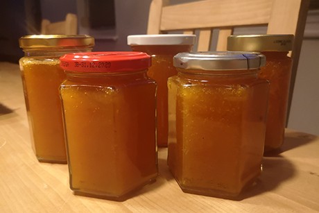 Marillen Marmelade