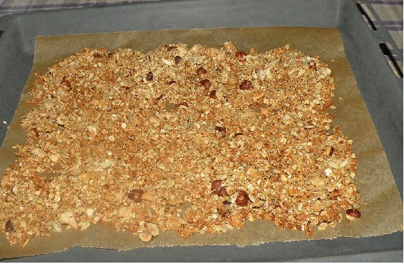 Ger&ouml;stetes M&uuml;sli