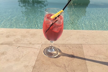 Erdbeertraum mit Gin