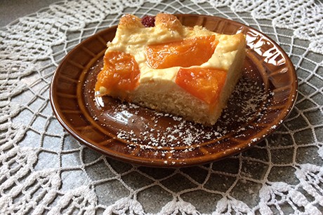 Kuchen mit Topfen-Marillenbelag