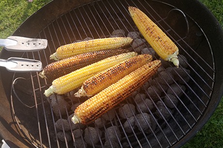 Kukuruz gegrillt