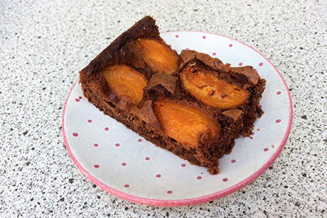 Schokolade-Marillenkuchen